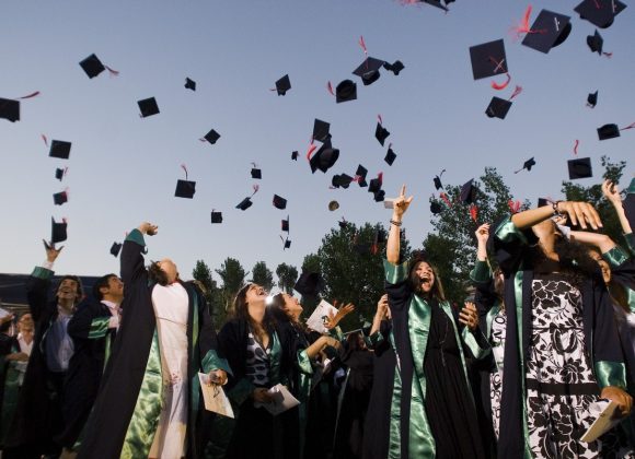 Üniversiteli İşsiz üniversiteli işsiz